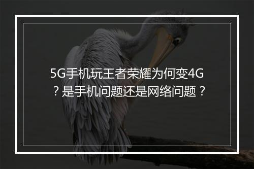 5G手机玩王者荣耀为何变4G？是手机问题还是网络问题？