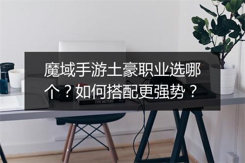 魔域手游土豪职业选哪个？如何搭配更强势？
