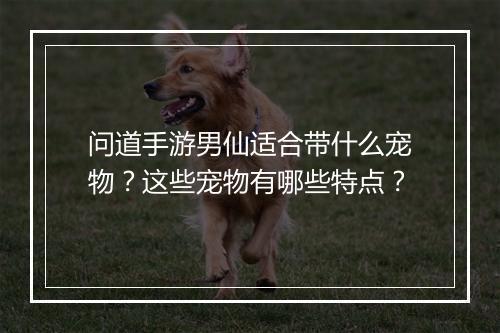 问道手游男仙适合带什么宠物？这些宠物有哪些特点？