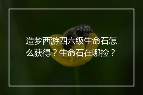 造梦西游四六级生命石怎么获得？生命石在哪捡？