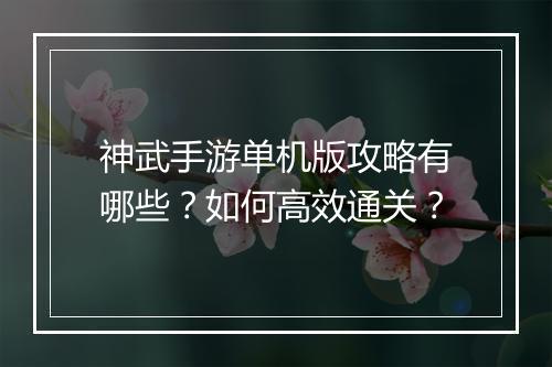 神武手游单机版攻略有哪些？如何高效通关？
