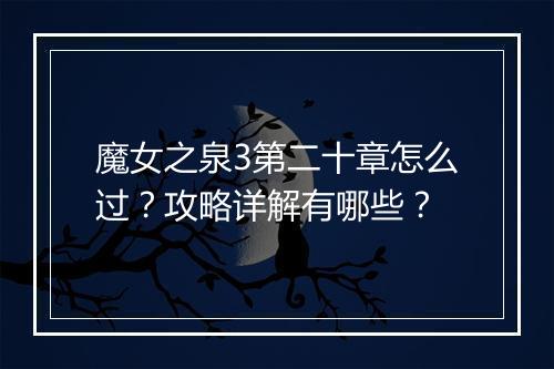 魔女之泉3第二十章怎么过？攻略详解有哪些？