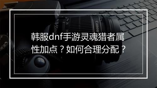 韩服dnf手游灵魂猎者属性加点？如何合理分配？