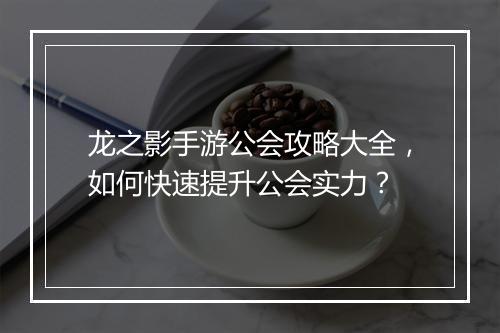 龙之影手游公会攻略大全，如何快速提升公会实力？