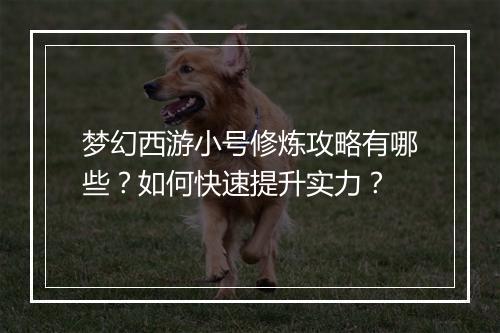 梦幻西游小号修炼攻略有哪些？如何快速提升实力？