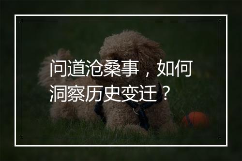 问道沧桑事，如何洞察历史变迁？