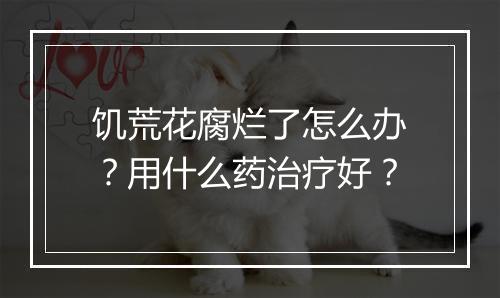 饥荒花腐烂了怎么办？用什么药治疗好？