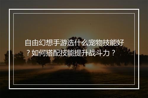 自由幻想手游选什么宠物技能好？如何搭配技能提升战斗力？