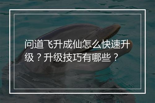 问道飞升成仙怎么快速升级？升级技巧有哪些？