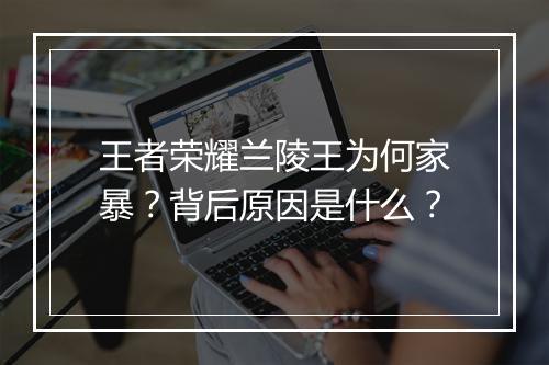 王者荣耀兰陵王为何家暴？背后原因是什么？