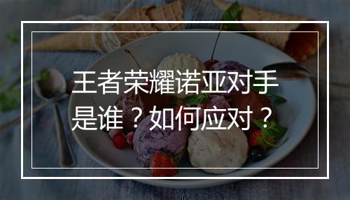 王者荣耀诺亚对手是谁？如何应对？