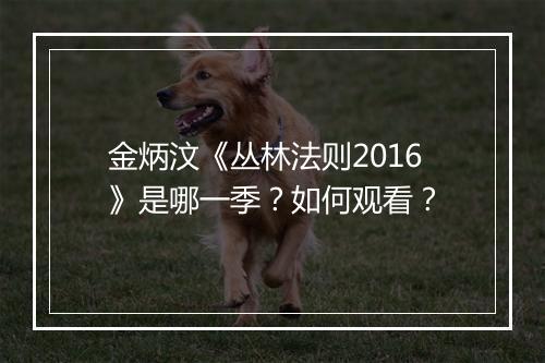 金炳汶《丛林法则2016》是哪一季？如何观看？