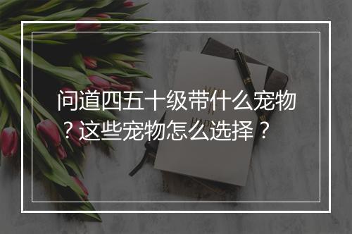 问道四五十级带什么宠物？这些宠物怎么选择？