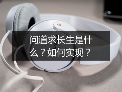 问道求长生是什么？如何实现？