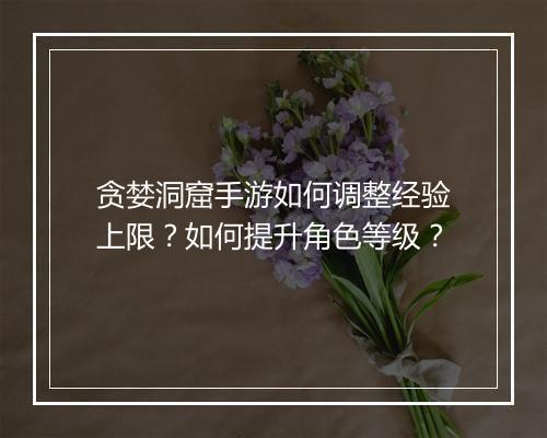 贪婪洞窟手游如何调整经验上限？如何提升角色等级？