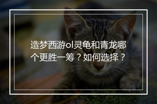 造梦西游ol灵龟和青龙哪个更胜一筹？如何选择？