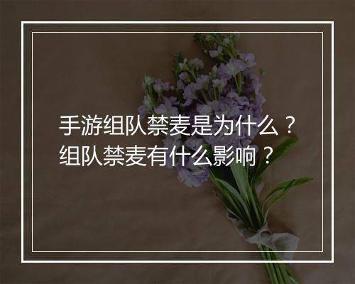 手游组队禁麦是为什么？组队禁麦有什么影响？