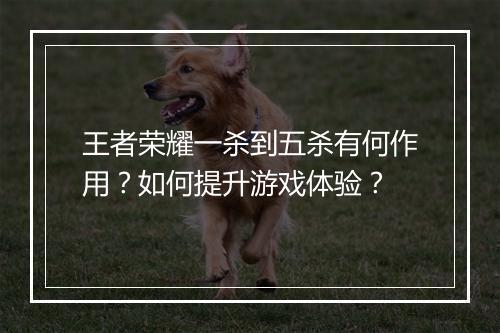 王者荣耀一杀到五杀有何作用？如何提升游戏体验？