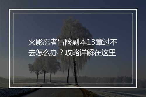 火影忍者冒险副本13章过不去怎么办？攻略详解在这里