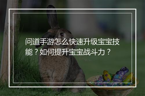 问道手游怎么快速升级宝宝技能？如何提升宝宝战斗力？