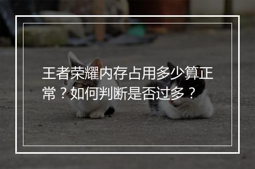 王者荣耀内存占用多少算正常？如何判断是否过多？