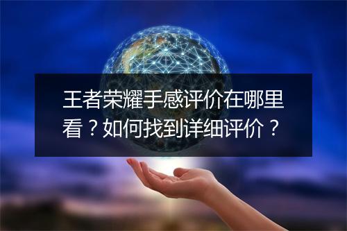 王者荣耀手感评价在哪里看？如何找到详细评价？