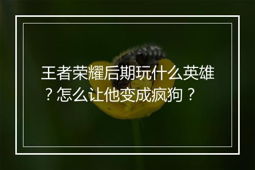 王者荣耀后期玩什么英雄？怎么让他变成疯狗？