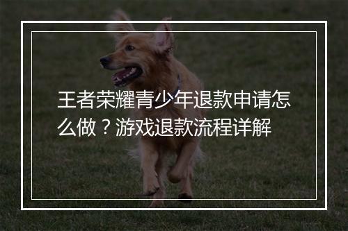 王者荣耀青少年退款申请怎么做？游戏退款流程详解