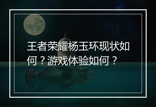 王者荣耀杨玉环现状如何？游戏体验如何？