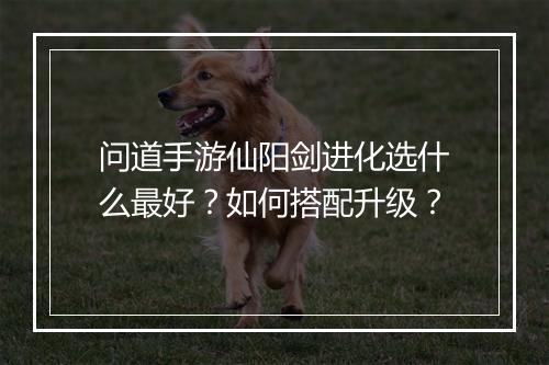 问道手游仙阳剑进化选什么最好？如何搭配升级？