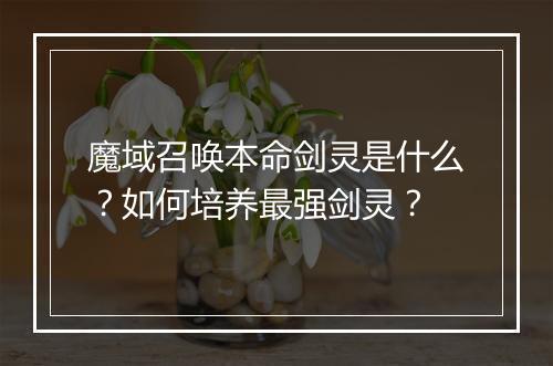 魔域召唤本命剑灵是什么？如何培养最强剑灵？