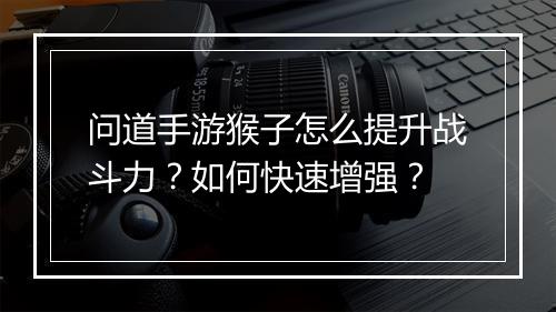 问道手游猴子怎么提升战斗力？如何快速增强？
