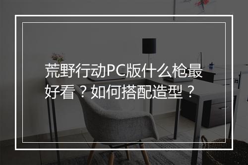 荒野行动PC版什么枪最好看？如何搭配造型？