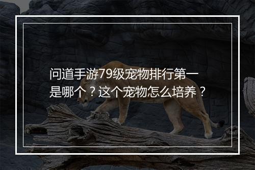问道手游79级宠物排行第一是哪个？这个宠物怎么培养？