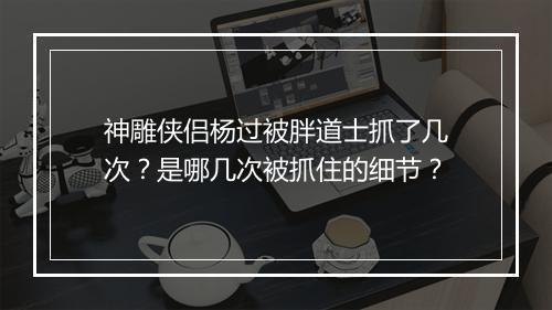 神雕侠侣杨过被胖道士抓了几次？是哪几次被抓住的细节？