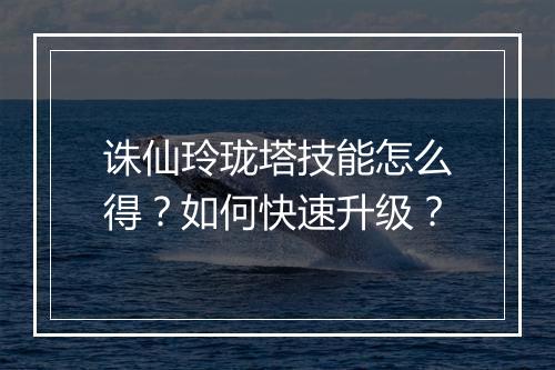 诛仙玲珑塔技能怎么得？如何快速升级？