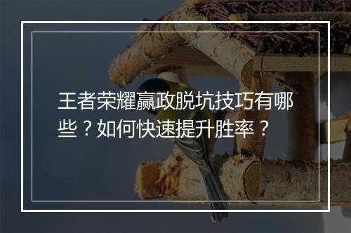 王者荣耀赢政脱坑技巧有哪些？如何快速提升胜率？