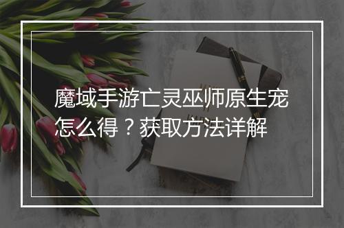 魔域手游亡灵巫师原生宠怎么得？获取方法详解