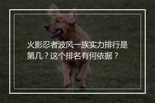 火影忍者波风一族实力排行是第几？这个排名有何依据？