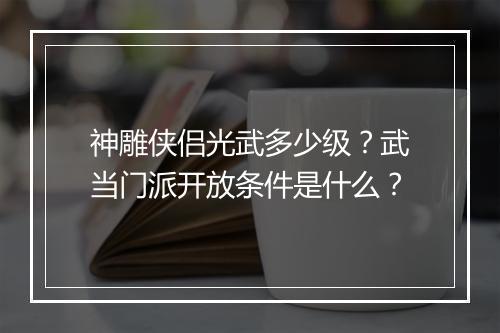 神雕侠侣光武多少级？武当门派开放条件是什么？