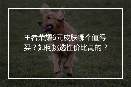 王者荣耀6元皮肤哪个值得买？如何挑选性价比高的？