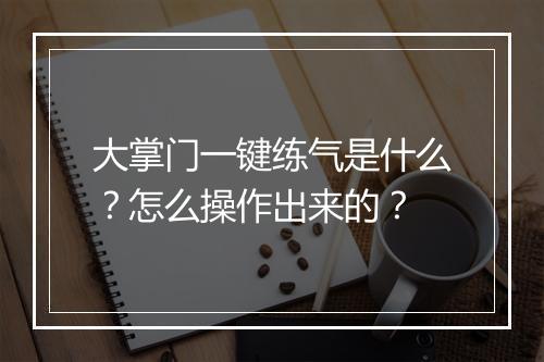 大掌门一键练气是什么？怎么操作出来的？