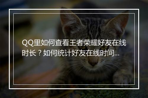 QQ里如何查看王者荣耀好友在线时长？如何统计好友在线时间？