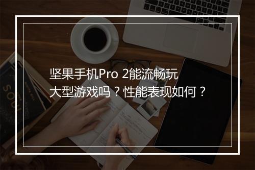 坚果手机Pro 2能流畅玩大型游戏吗？性能表现如何？