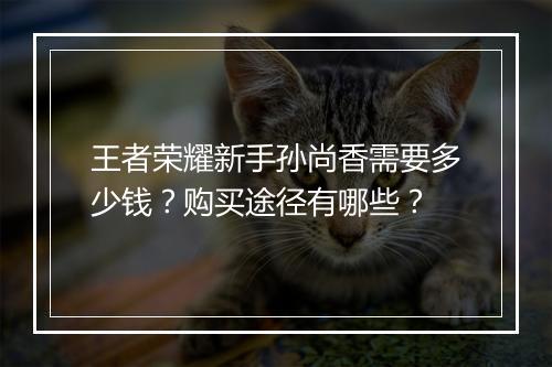 王者荣耀新手孙尚香需要多少钱？购买途径有哪些？