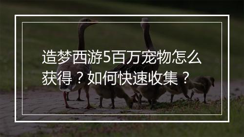 造梦西游5百万宠物怎么获得？如何快速收集？