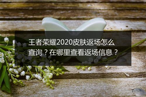 王者荣耀2020皮肤返场怎么查询？在哪里查看返场信息？