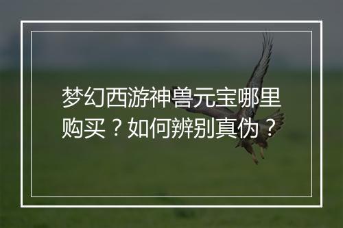 梦幻西游神兽元宝哪里购买？如何辨别真伪？