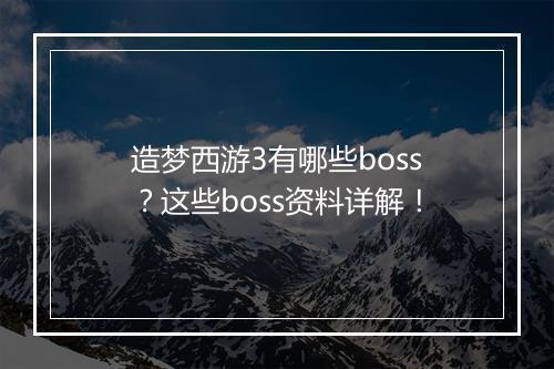 造梦西游3有哪些boss？这些boss资料详解！