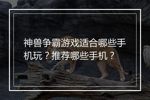 神兽争霸游戏适合哪些手机玩？推荐哪些手机？